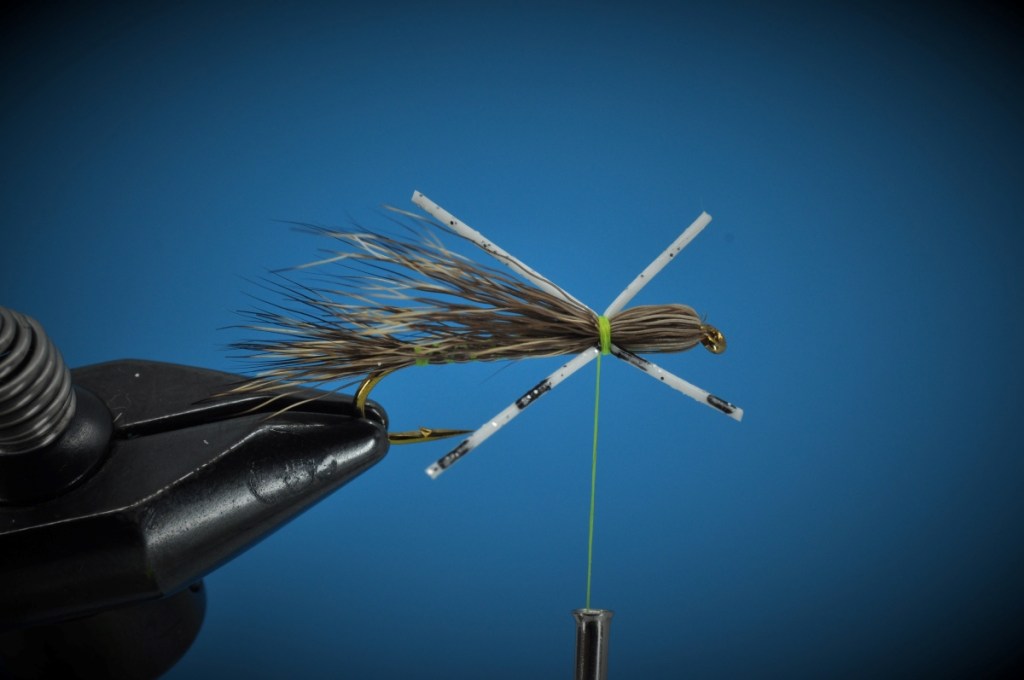 Madam X Fly Step-by-Step