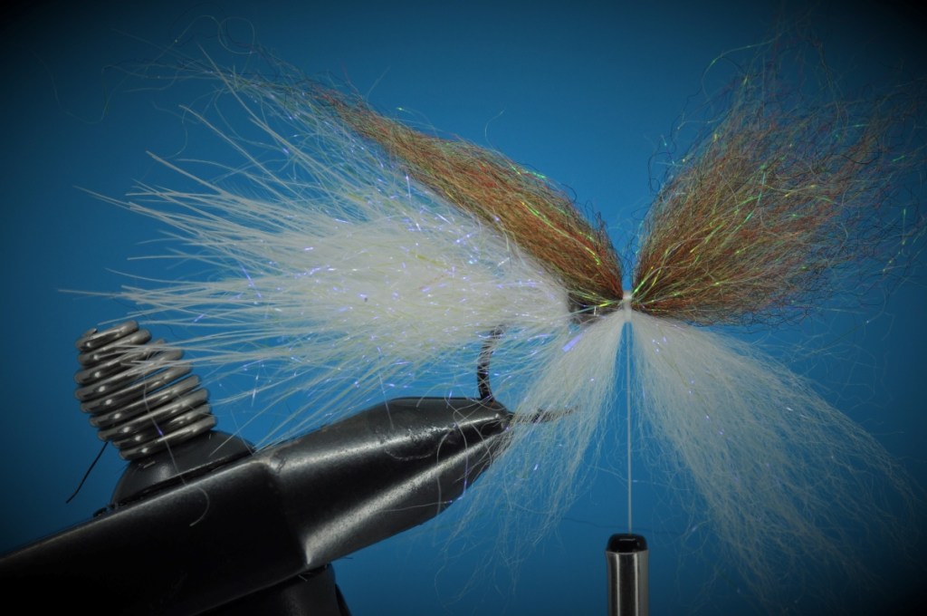 Baby Fat Minnow Step-by-Step