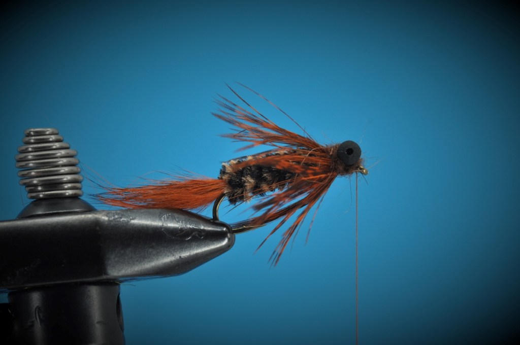 Modified Carp Bug Step-by-Step