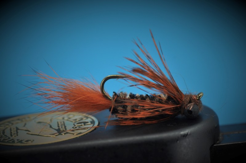 Modified Carp Bug Step-by-Step