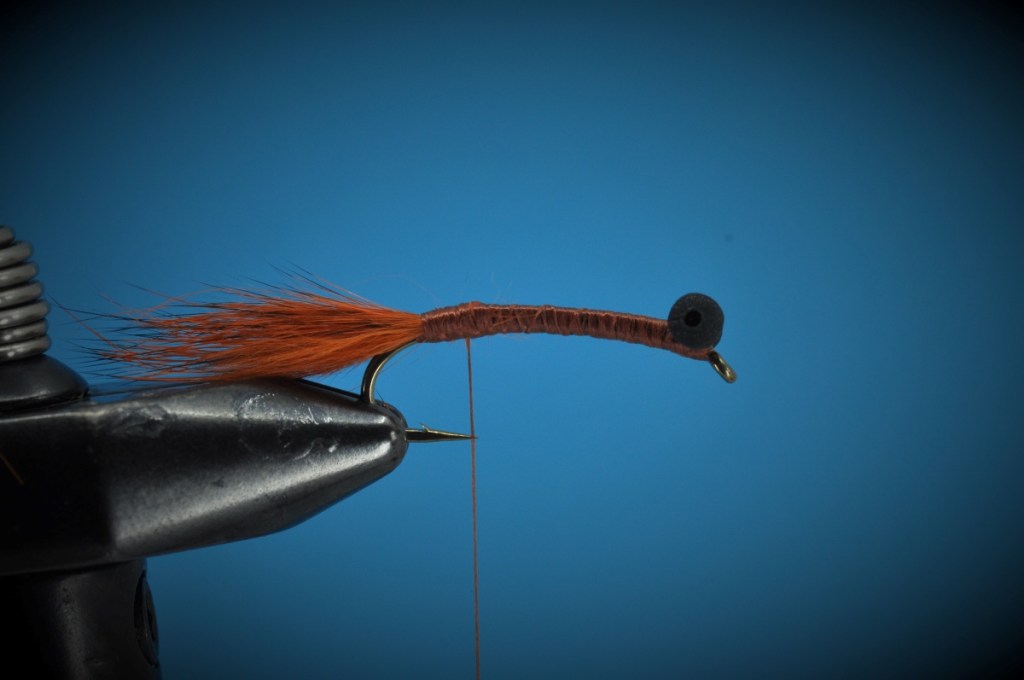 Modified Carp Bug Step-by-Step