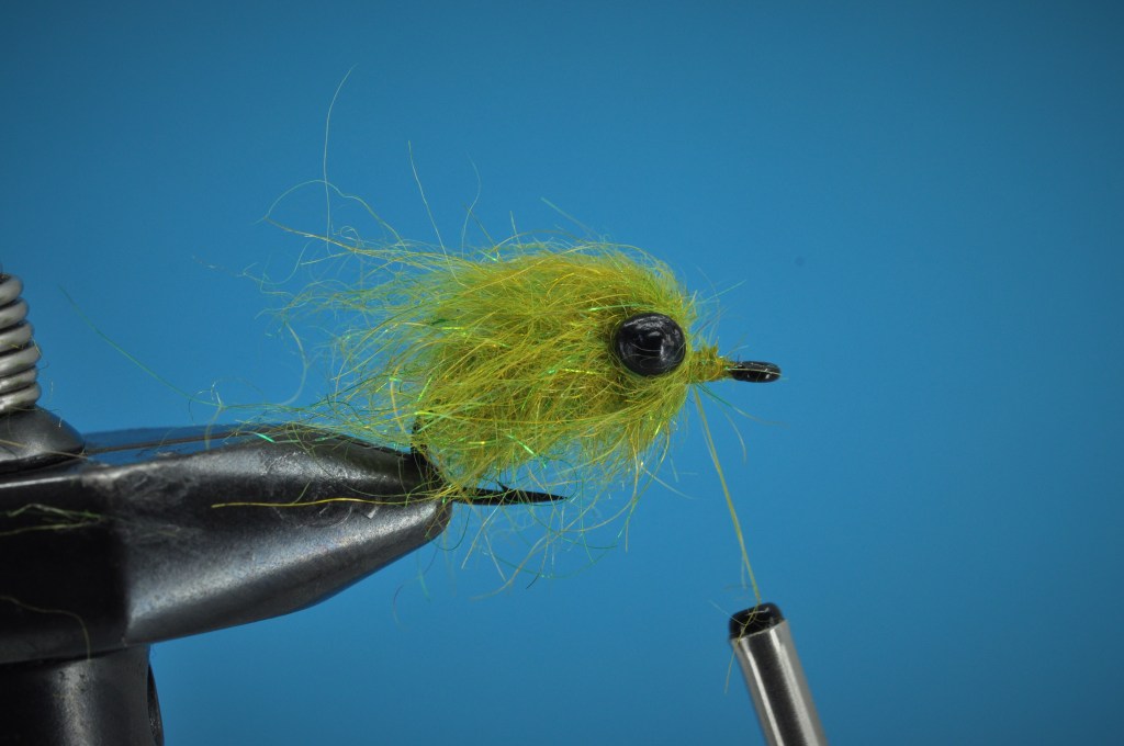 Backstabber Carp Fly Step-by-Step