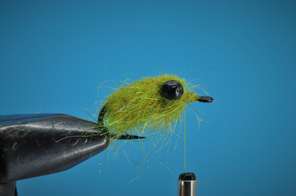 Backstabber Carp Fly Step-by-Step