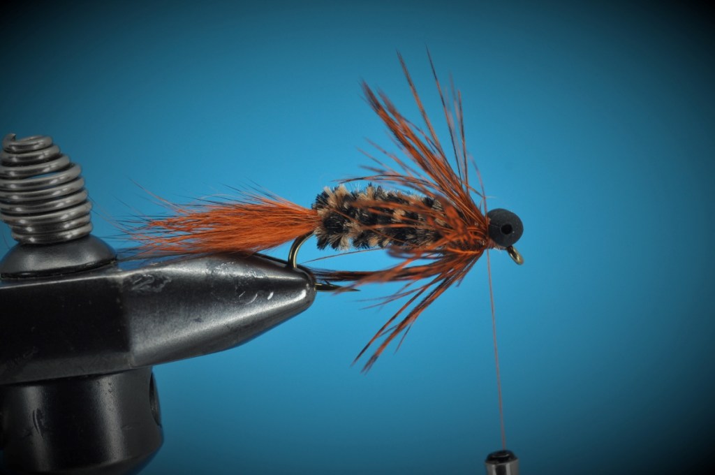 Modified Carp Bug Step-by-Step