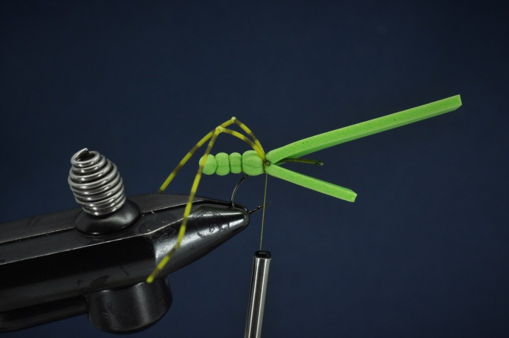 Extended Body Grasshopper Step-by-Step