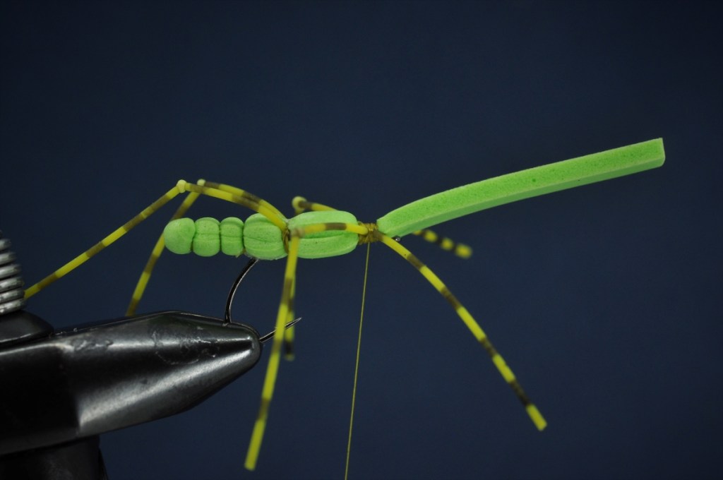 Extended Body Grasshopper Step-by-Step