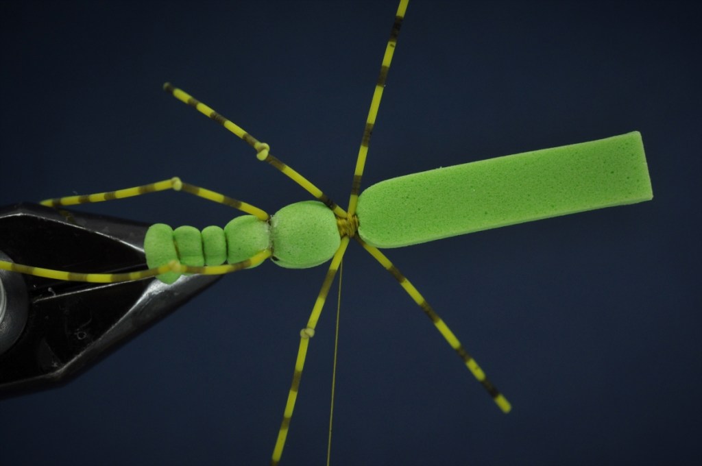 Extended Body Grasshopper Step-by-Step