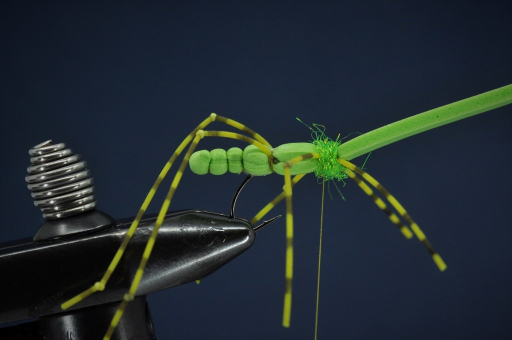 Extended Body Grasshopper Step-by-Step