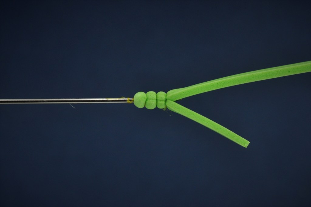 Extended Body Grasshopper Step-by-Step