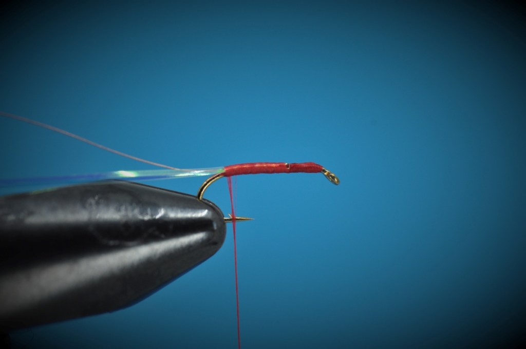 Ray Charles Nymph Step-by-Step