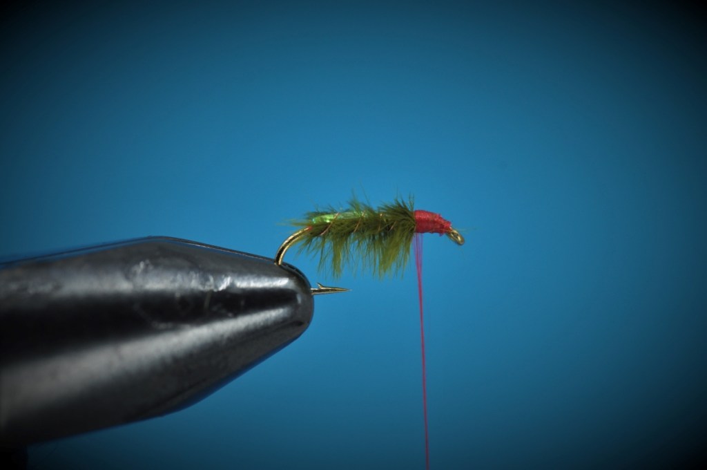 Ray Charles Nymph Step-by-Step