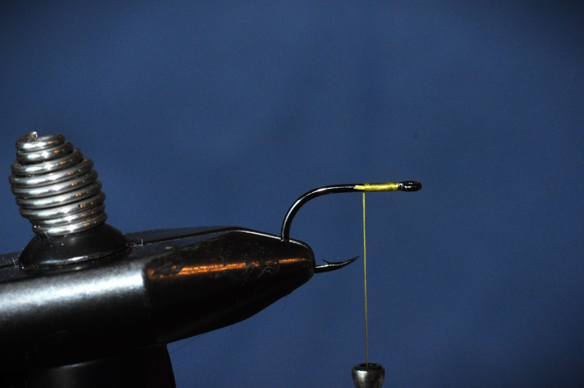 Carp Hydra Fly Step-by-Step