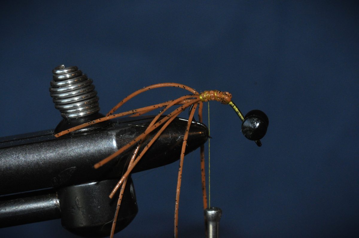 Carp Hydra Fly Step-by-Step