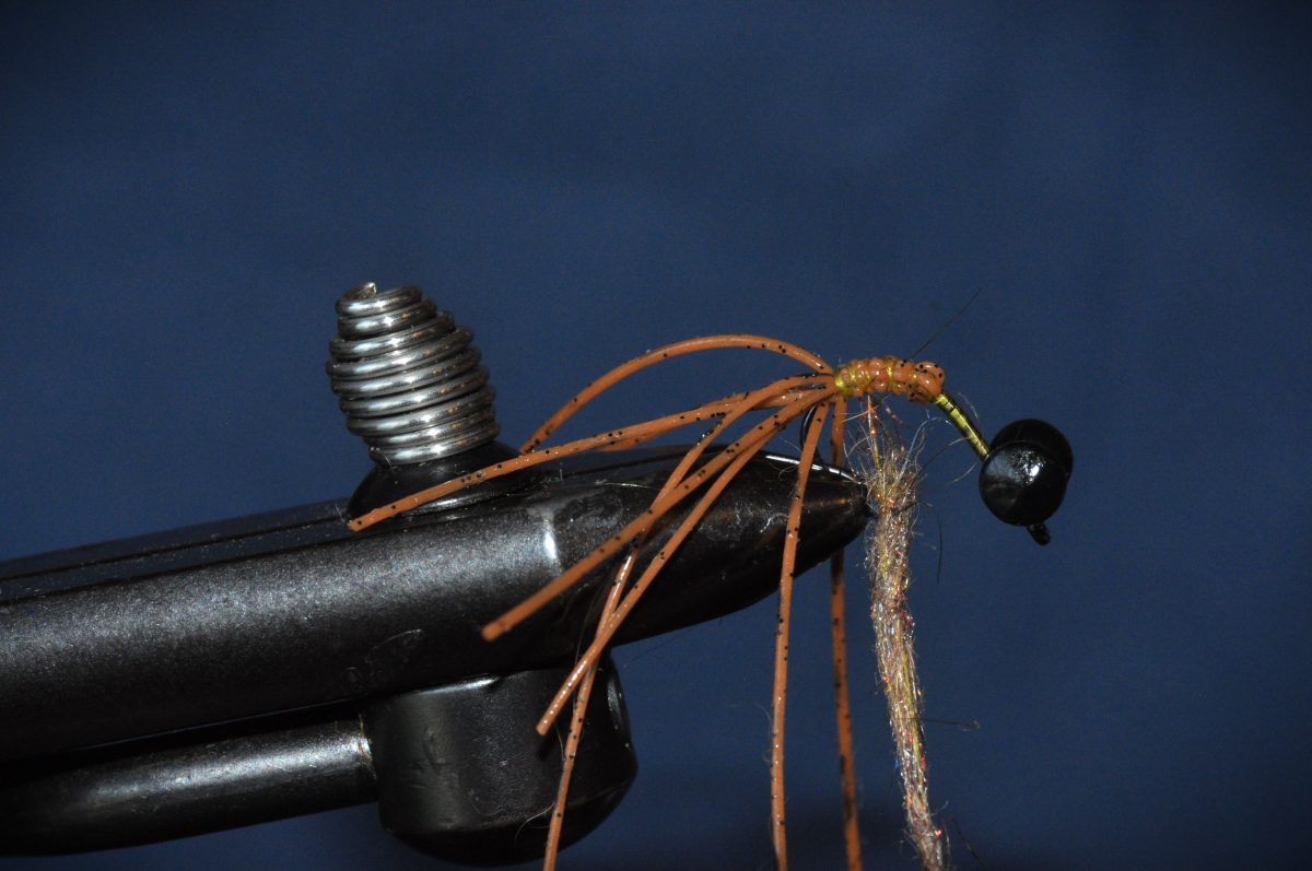 Carp Hydra Fly Step-by-Step