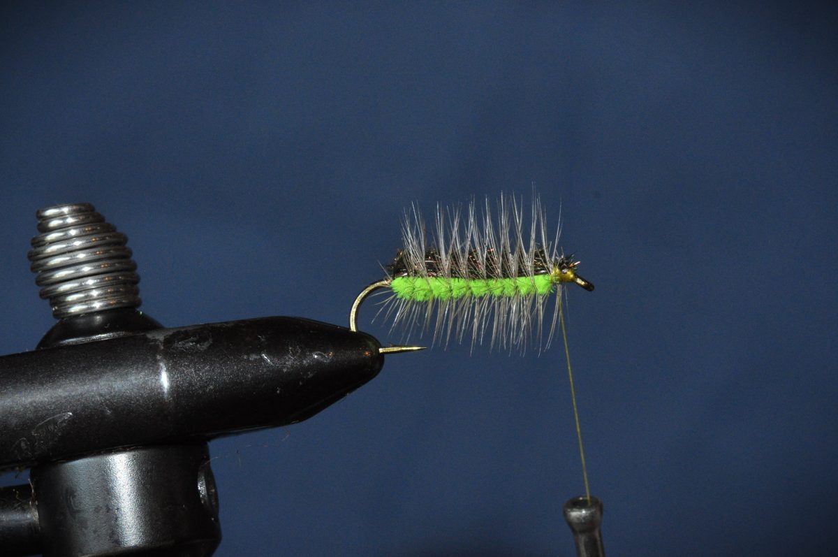 Caterpillar Dry Fly Step-by-Step