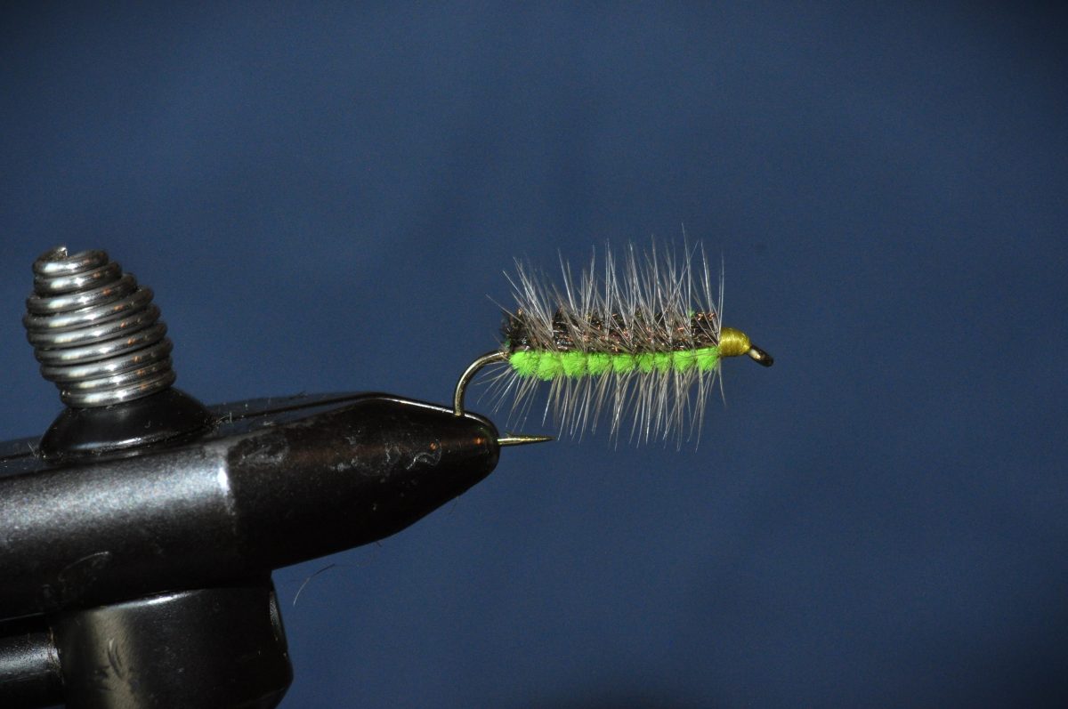 Caterpillar Dry Fly Step-by-Step