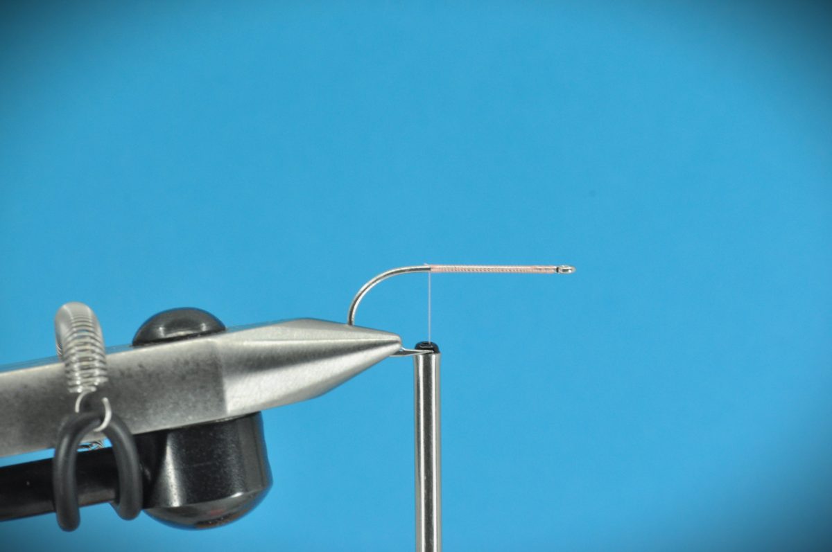 Glimmer Rejen Shrimp Step-by-Step