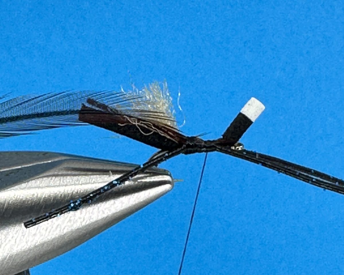 Bionic Ant Fly Step-by-Step