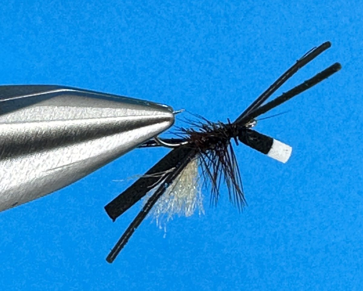 Bionic Ant Fly Step-by-Step