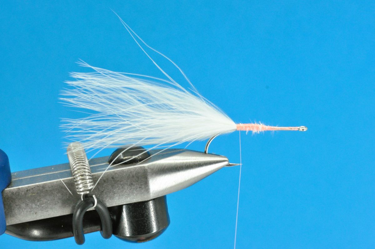 Glimmer Rejen Shrimp Step-by-Step