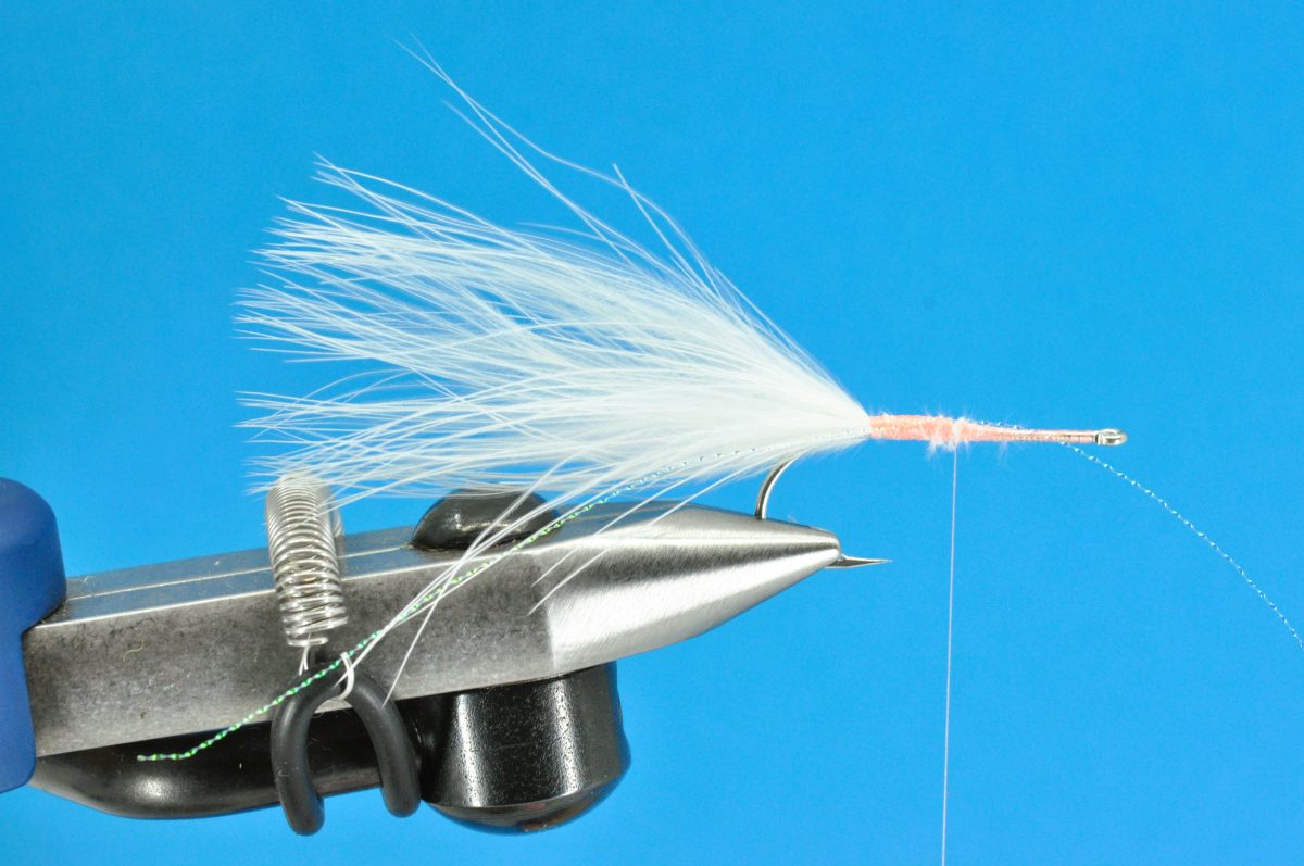 Glimmer Rejen Shrimp Step-by-Step