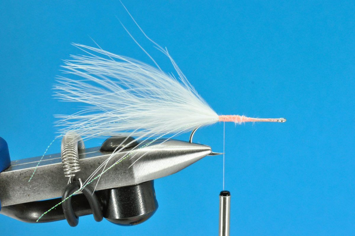 Glimmer Rejen Shrimp Step-by-Step