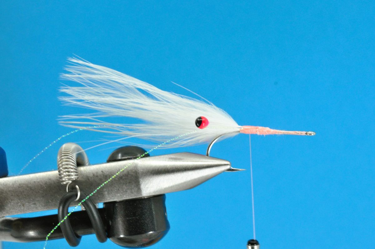 Glimmer Rejen Shrimp Step-by-Step