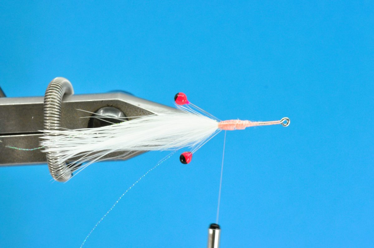 Glimmer Rejen Shrimp Step-by-Step