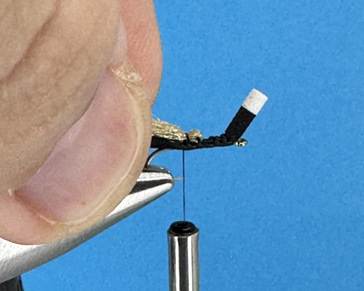 Bionic Ant Fly Step-by-Step