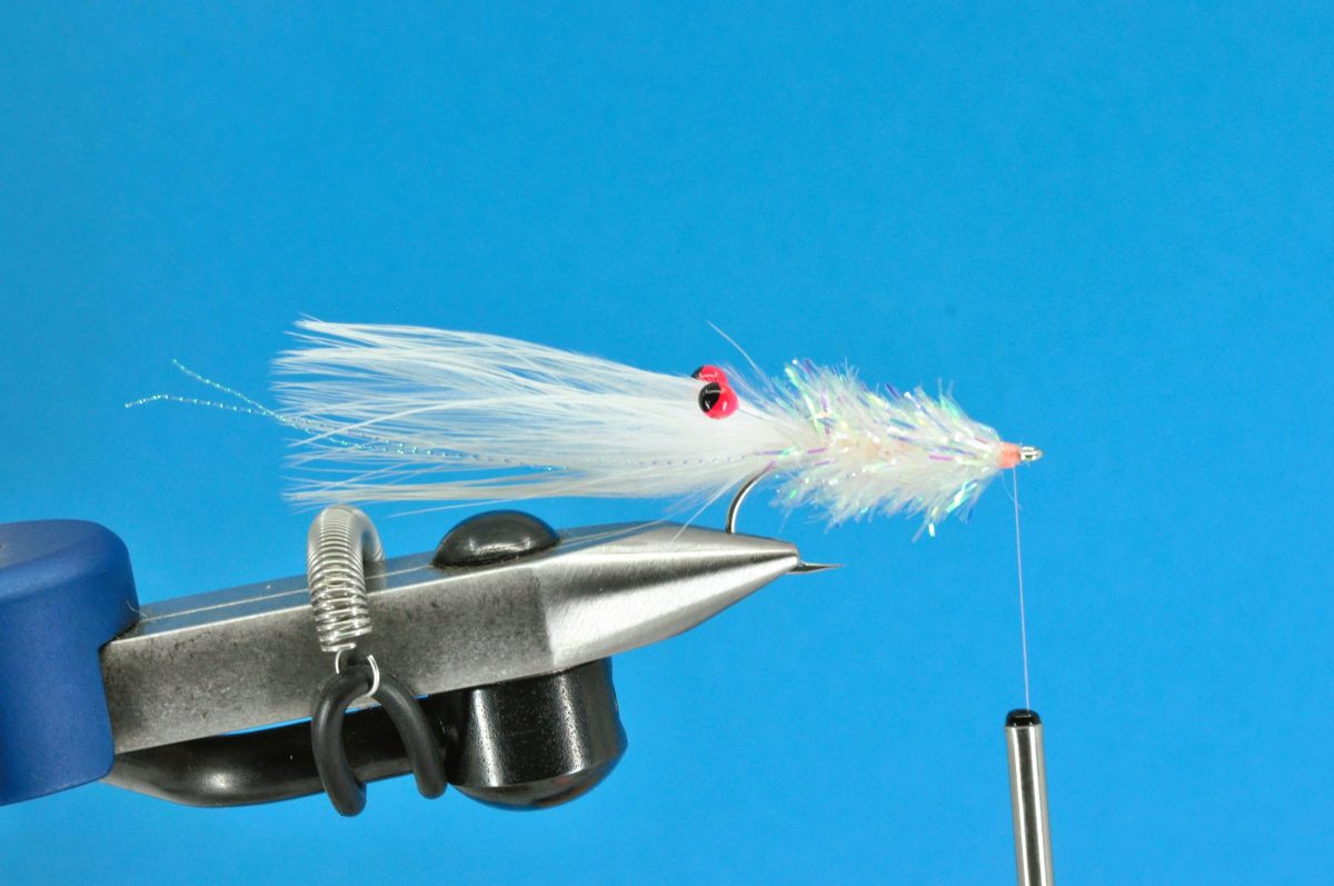 Glimmer Rejen Shrimp Step-by-Step