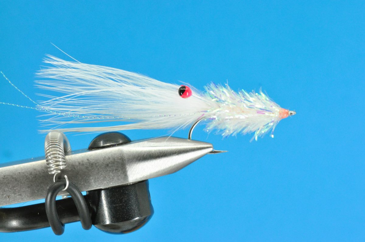 Glimmer Rejen Shrimp Step-by-Step