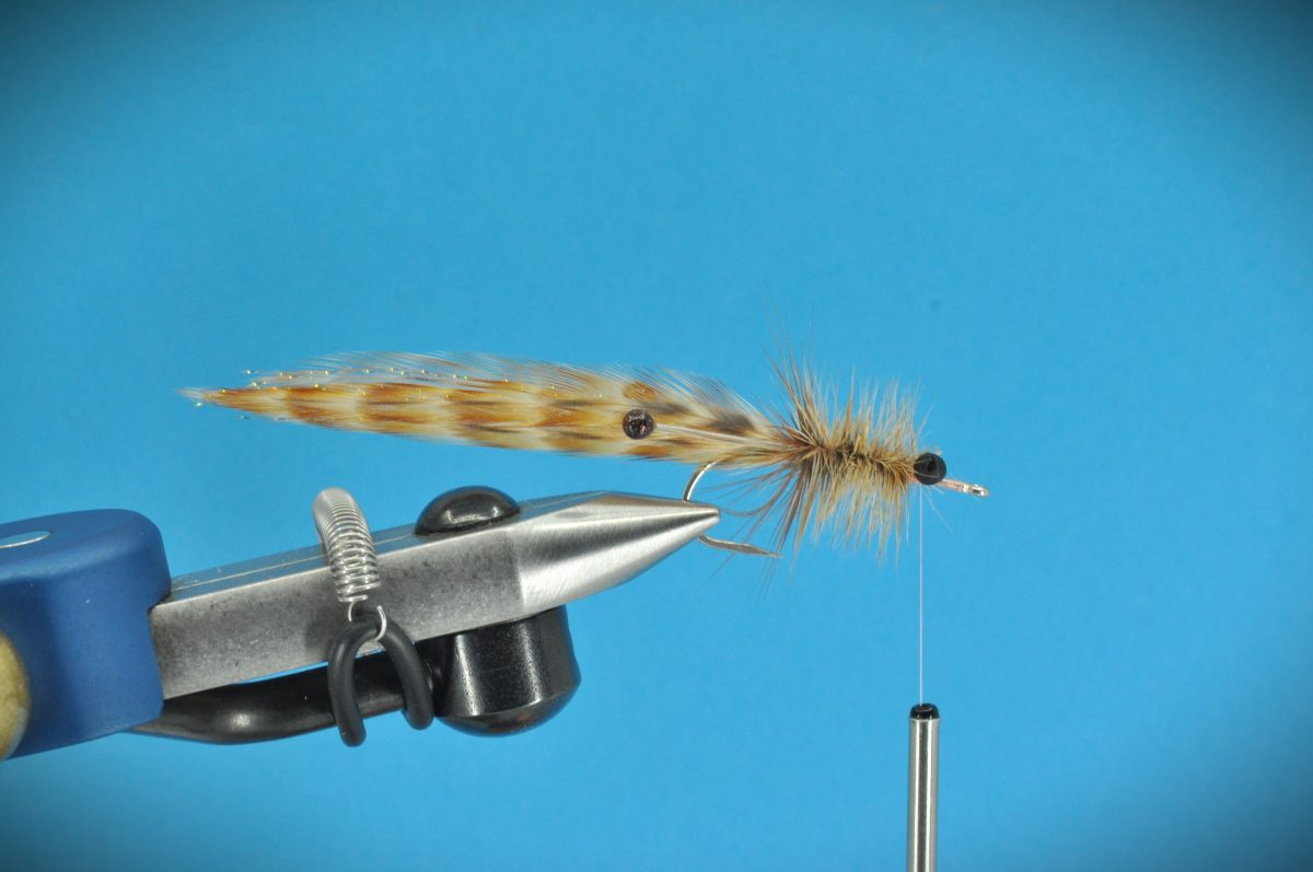 Shrimp Slurpee Fly Step-by-Step
